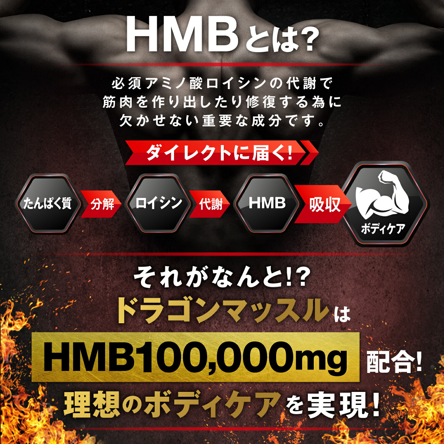 楽天市場】＼楽天セール最大28%オフ☆楽天1位／ HMB 100,000mg 薬剤師