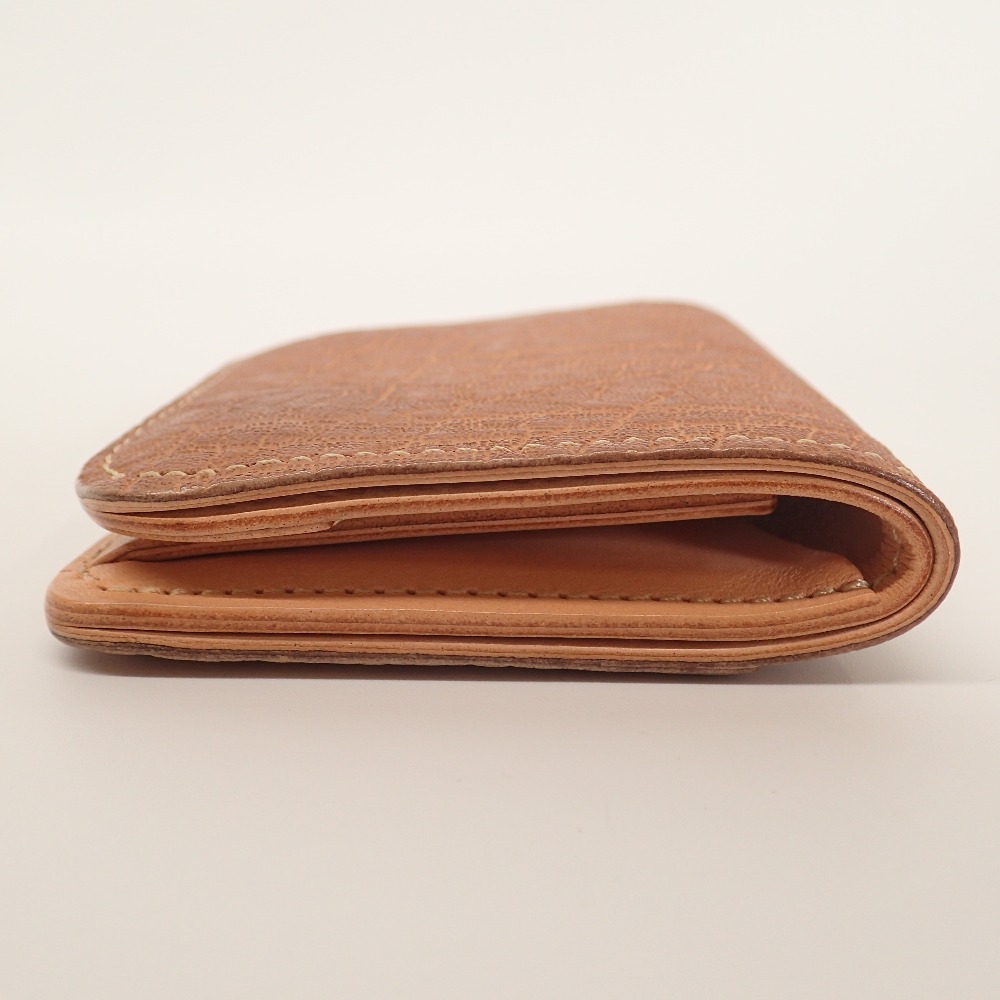 楽天市場】WILDSWANS ワイルドスワンズ PALM パーム エレファント