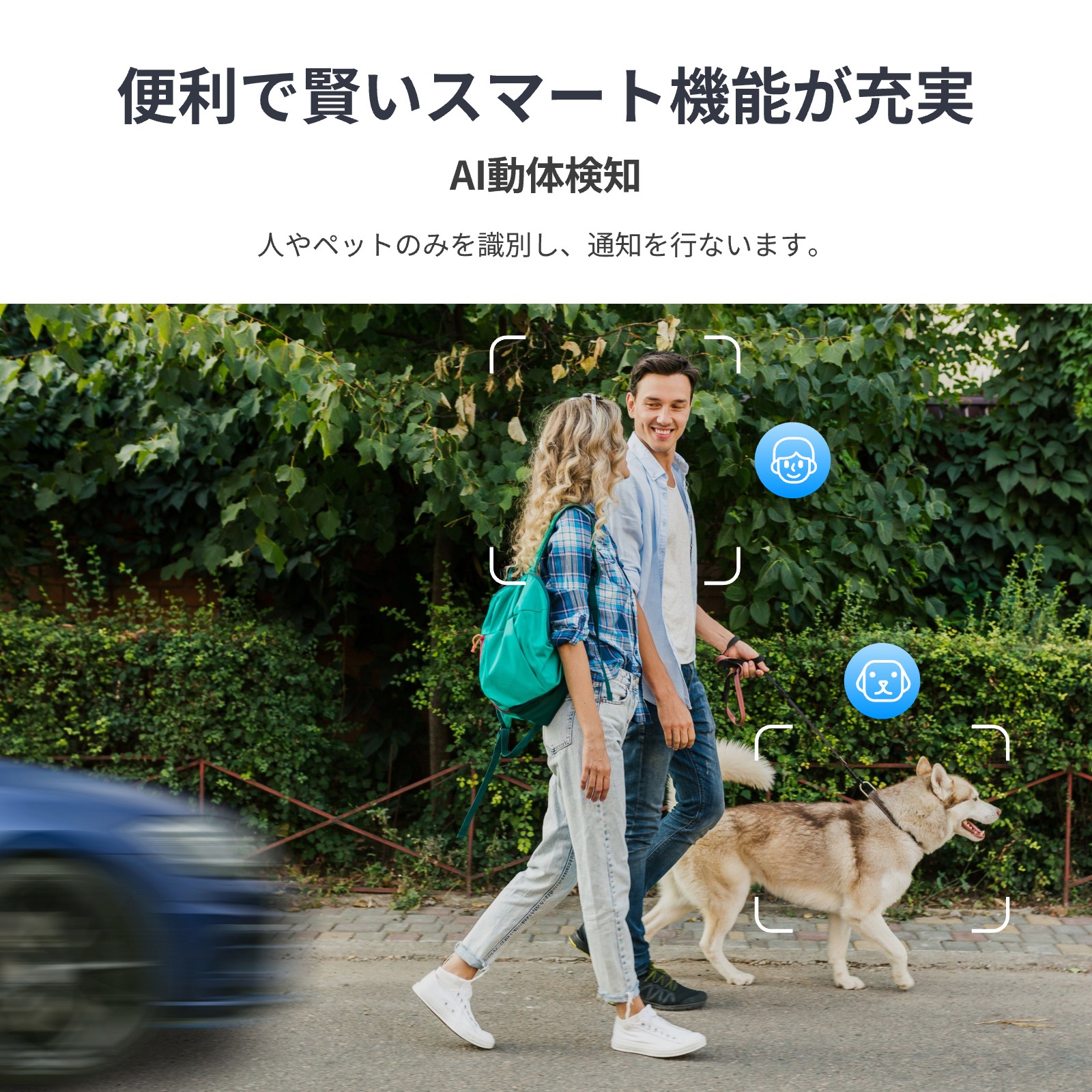 楽天市場】SwitchBot 屋外カメラ3MPソーラーパネル付きセット品