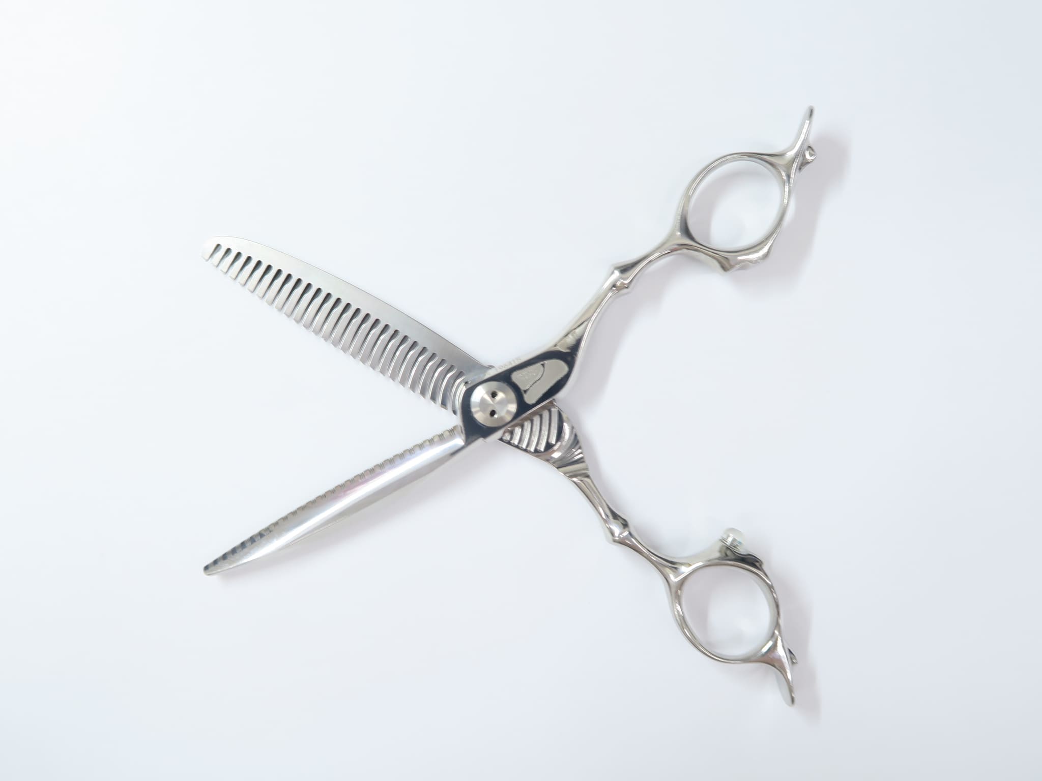 楽天市場】Bランク【トギノン TOGINON】 DYNA SAURUS ダイナザウルス