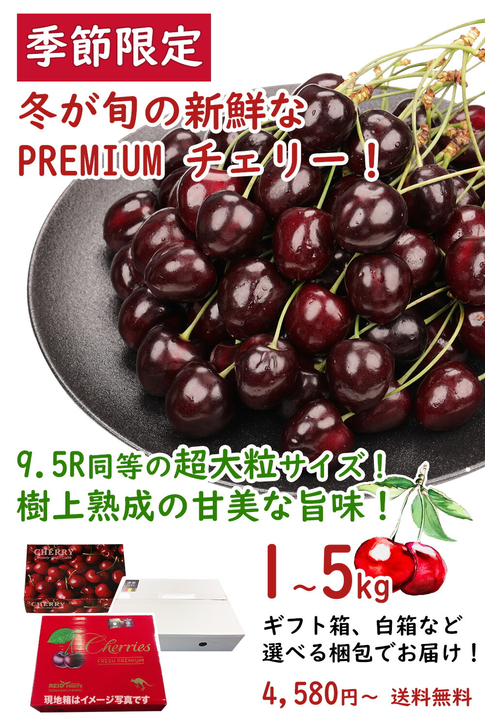 楽天市場】＜シーズン終了＞ 超大粒 PREMIUM チェリー 完熟 28mm 9.5R