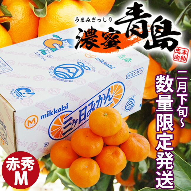 楽天市場】 三ヶ日みかん : フルーツ SHOMEIDO
