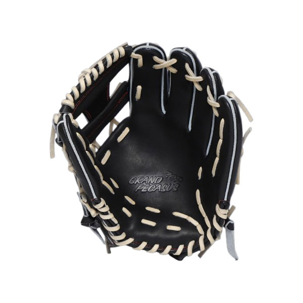 楽天市場】ワールドペガサス 硬式・軟式兼用グラブ グランドペガサス