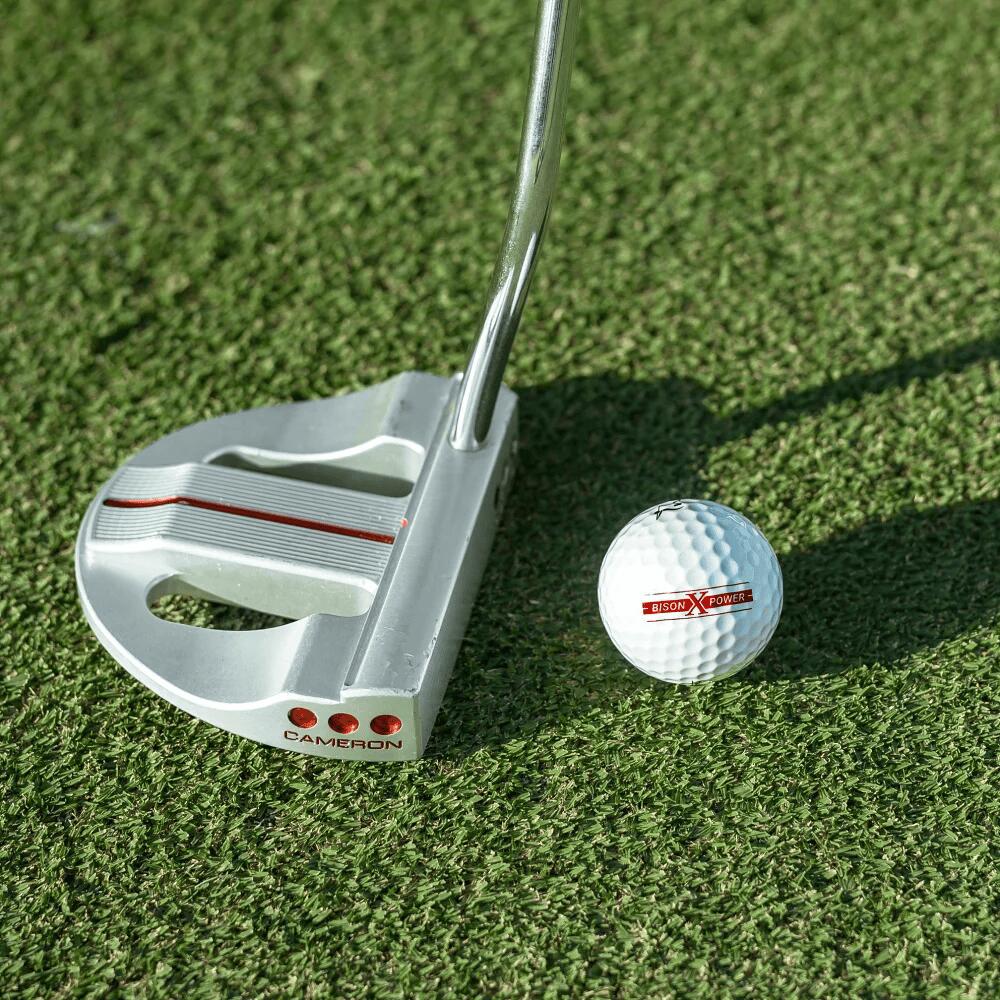 楽天市場】Trust トラスト ゴルフボール Bison V Power / Bison X