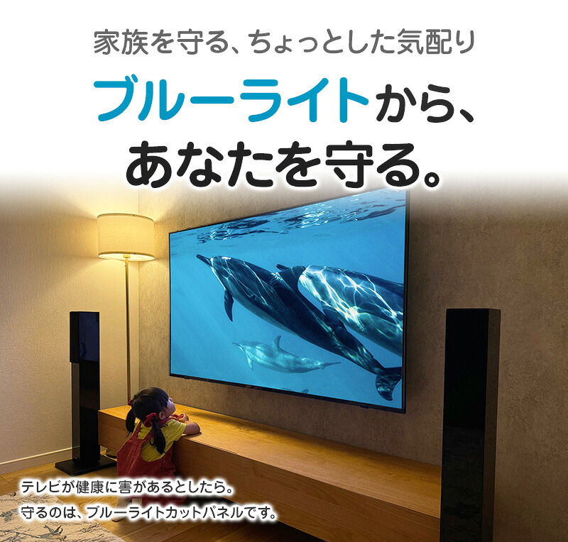 楽天市場】ブルーライトカット 液晶テレビ保護パネル 49インチ 49型