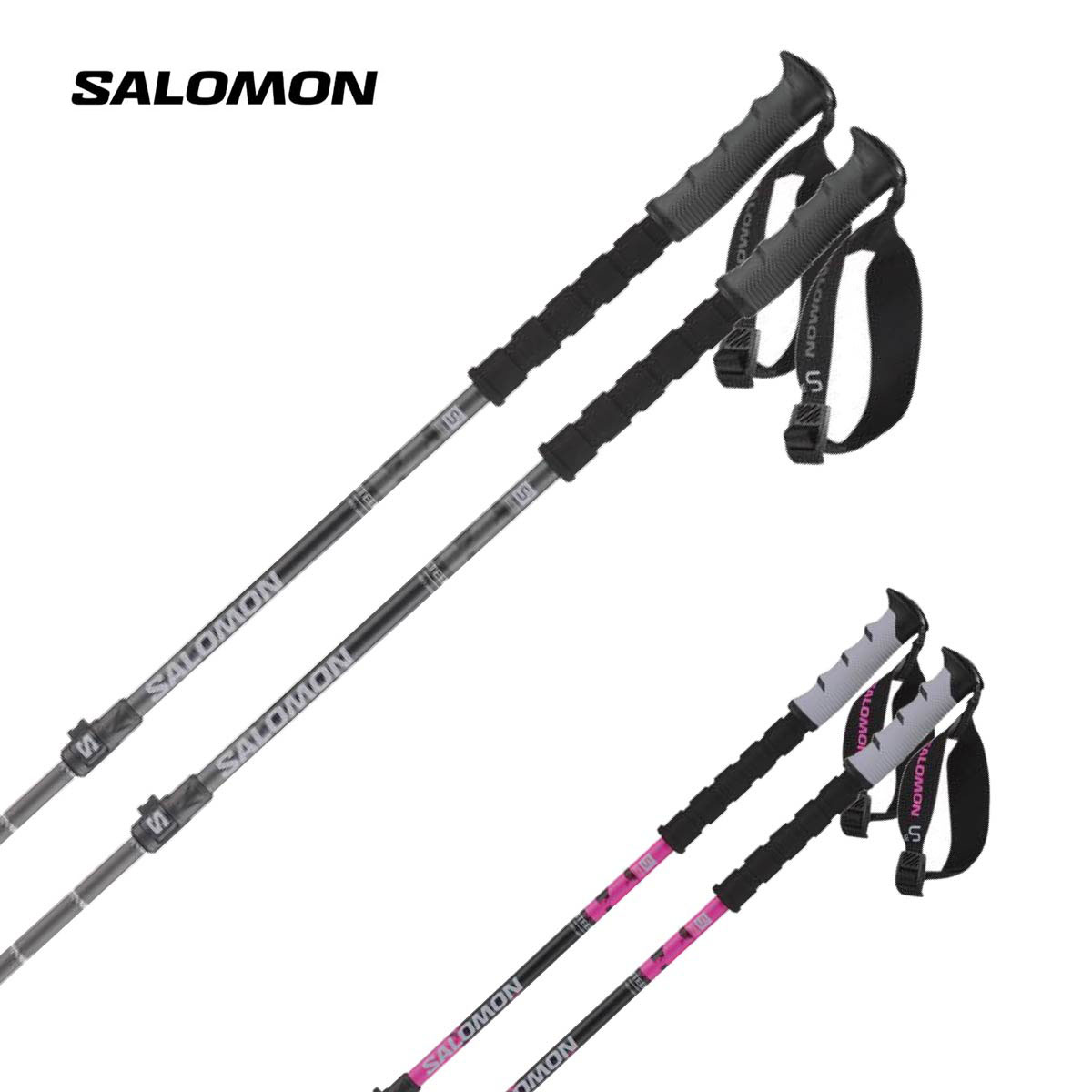 楽天市場】SALOMON サロモン スキーポール ストック メンズ レディース