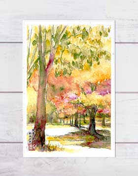 楽天市場】秋の風景4 6枚セット ( 落葉 森 みそそぎ川 鴨 哲学の道