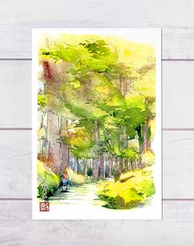 楽天市場】秋の風景4 6枚セット ( 落葉 森 みそそぎ川 鴨 哲学の道