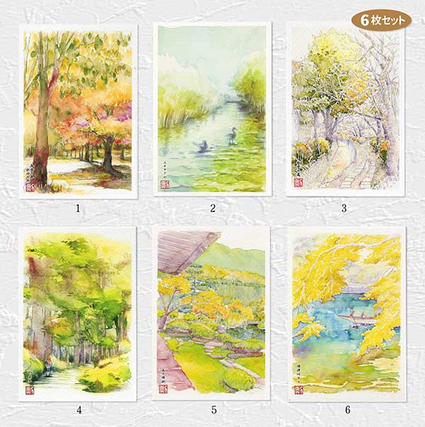 楽天市場】秋の風景4 6枚セット ( 落葉 森 みそそぎ川 鴨 哲学の道