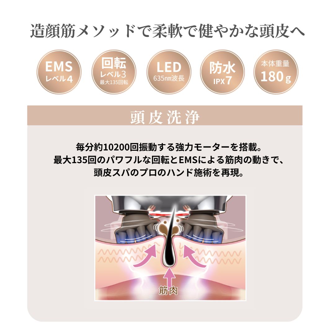 楽天市場】☆特別価格☆【保証書付き】 ゾーガンキンスカルプ EMS