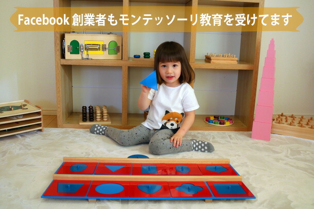 楽天市場】モンテッソーリ メタルインセッツ ♪スムーズに楽しく図形を