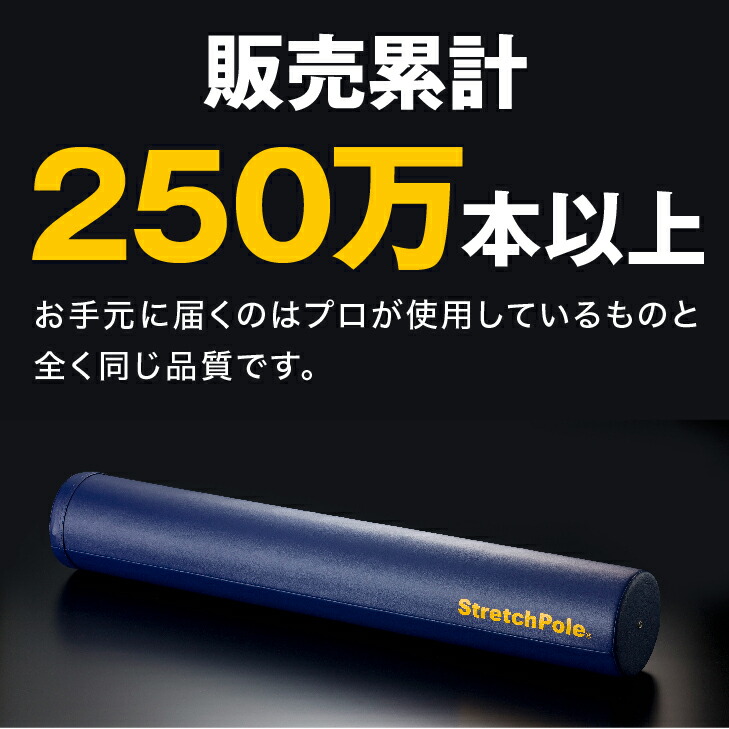 楽天市場】LPN ストレッチポールMX(ピンク)スタートBOOK、エクササイズ