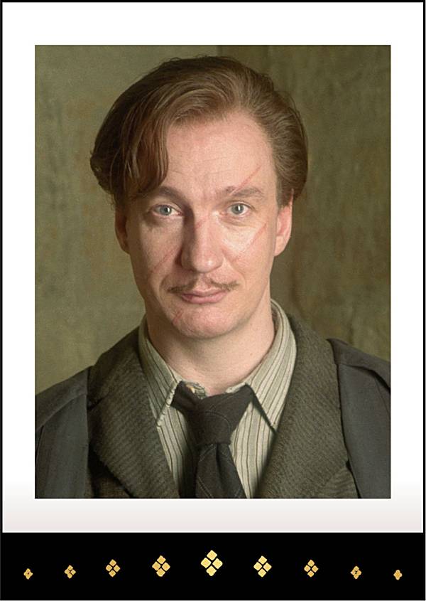 楽天市場】【12.リーマス・ルーピン】ハリー・ポッター ぱしゃこれ