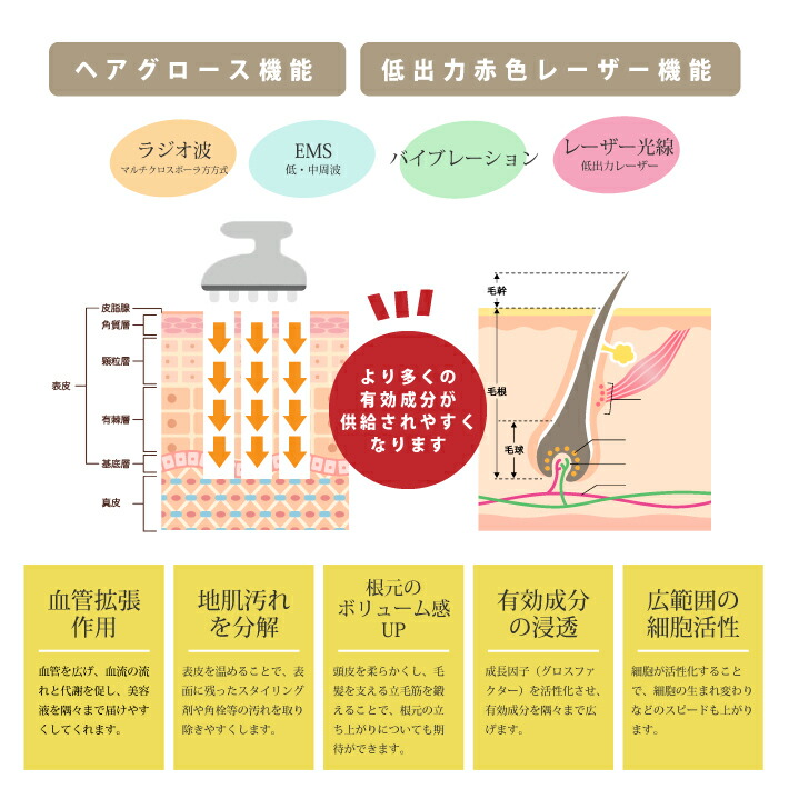 楽天市場】【2/20 当店ポイント10倍!2/23 1:59までお買い物マラソン