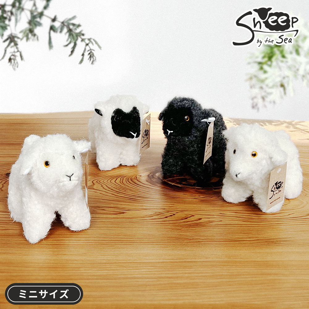 楽天市場】Sheep by the sea シープ ぬいぐるみ ミニサイズ ( シープ