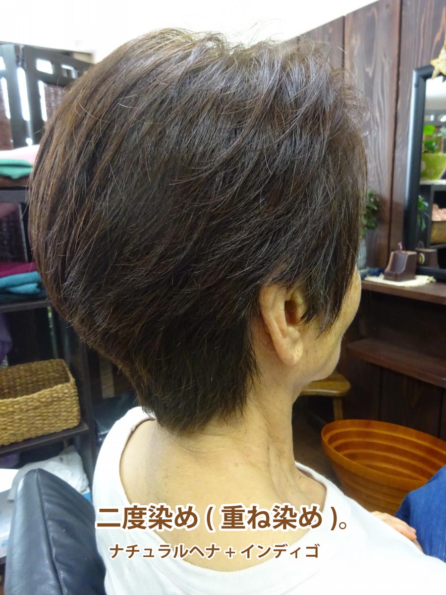 楽天市場】インディゴ 白髪染め 二度染め ( 100gパウチ ) インディゴ