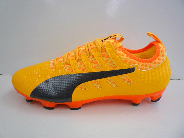 プーマ エヴォパワー VIGOR 2 HG 103955 (サッカースパイク) 価格比較