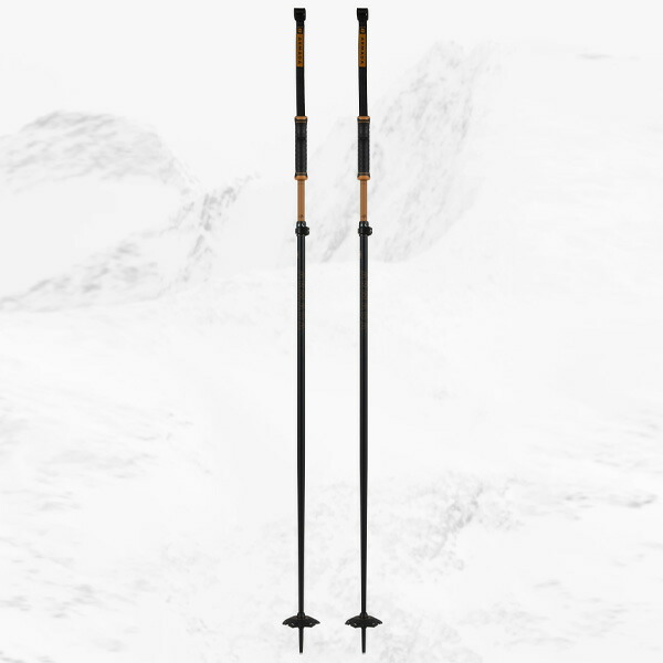 楽天市場】アルマダ スキーポール AK ADJUSTABLE Tan-Black 105～140cm