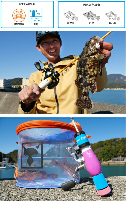 楽天市場】JACKALL/ジャッカル EGG ARM SHORTY (エッグアーム ショー