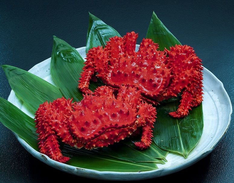 浜茹で 『花咲ガニ（オスまたは子無しのメス）』 北海道太平洋沖（浜中