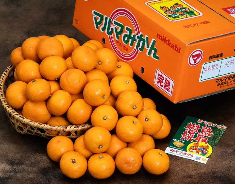 三ヶ日マルマ「完熟みかん（品種：ゆら早生）」静岡県産 熟King 2S〜M