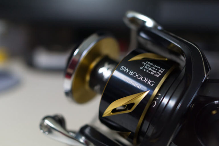 19 ステラSW 8000HGを購入