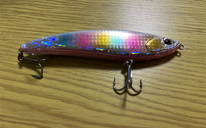サーフルアーフィッシング愛好家が最近買った【当たりルアー3選