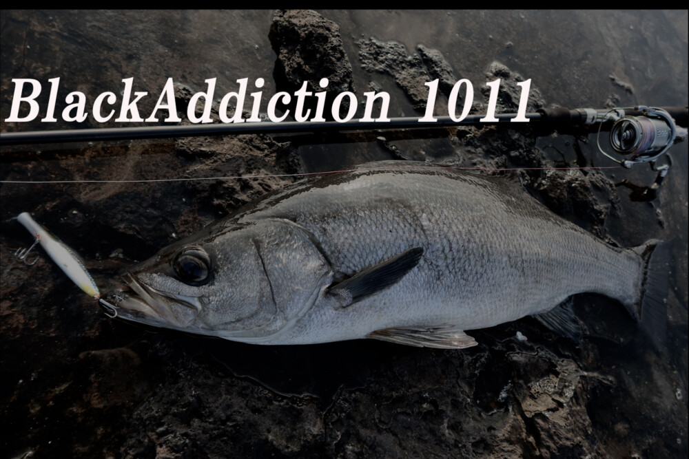 BlackAddiction 1011 (HIRA Model) | TRUTH JAPAN