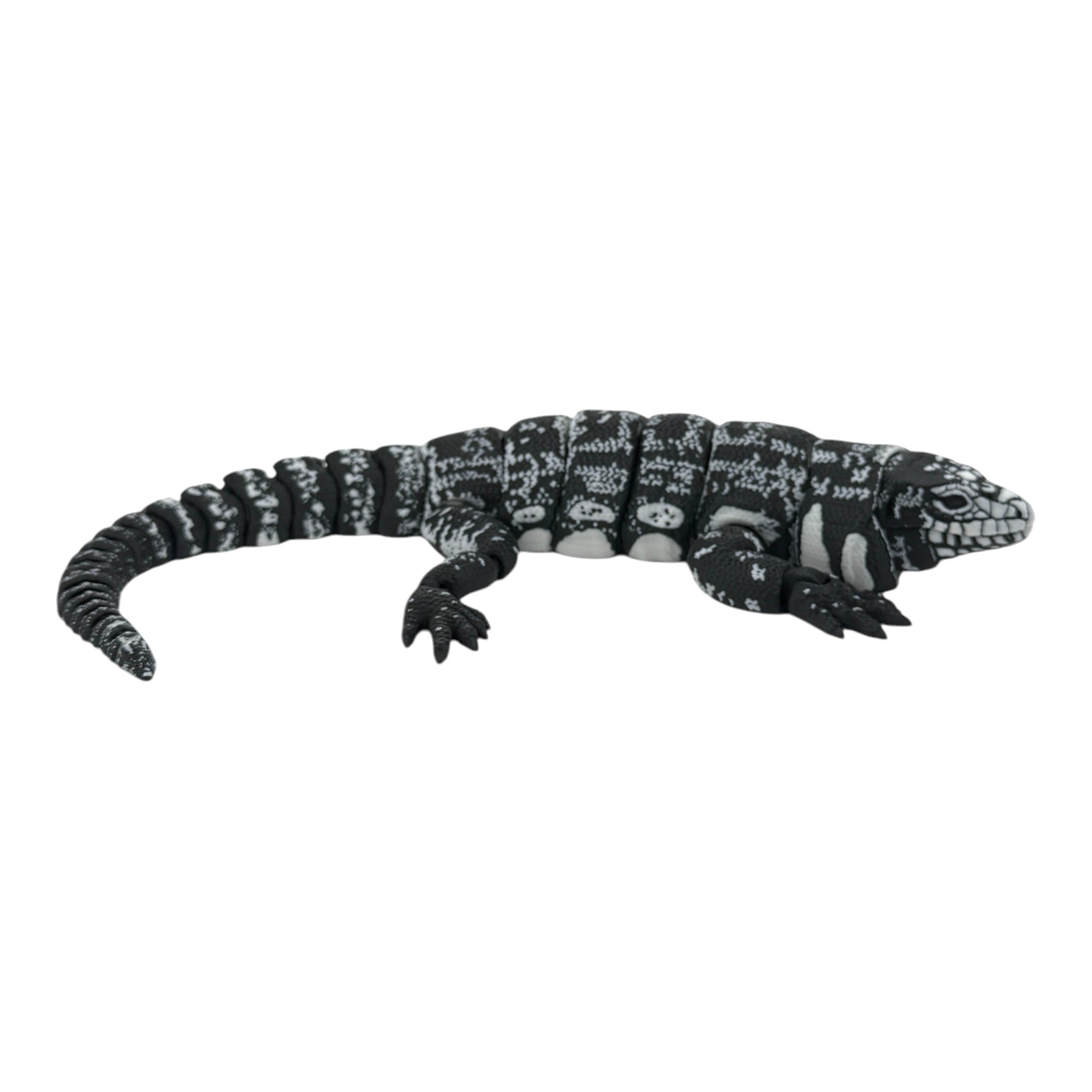 3D Printed Black and White Tegu: Realistic & Detailed Model