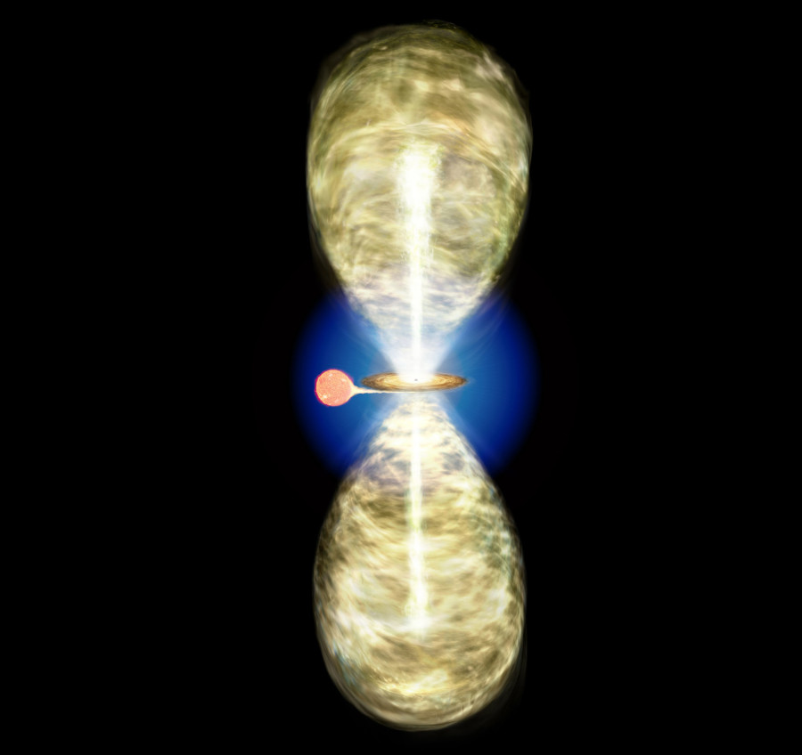 ほし トリックスター / Ninja ZX-14R(16-) 政府認証デュアルスリップオン