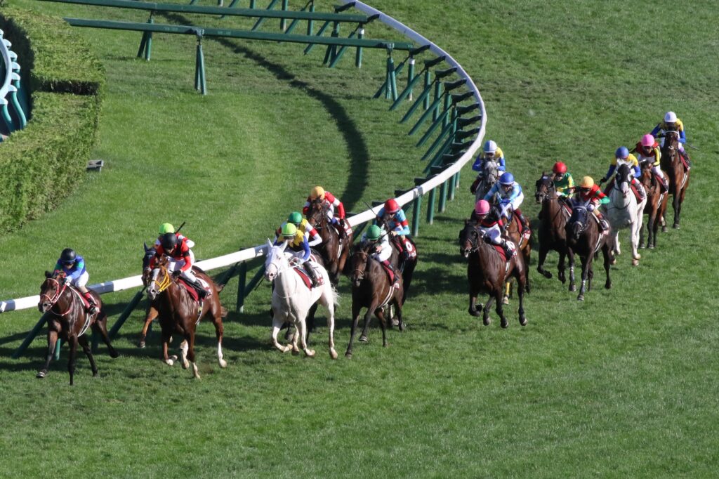 白毛馬ブームの原点、ユキチャンの秋華賞。 | ウマフリ | 競馬コラム