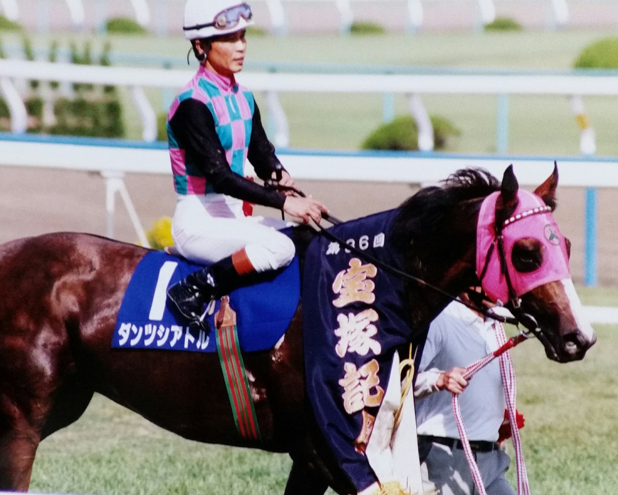 1995年、追憶の宝塚記念。ダンツシアトルとライスシャワー、2頭の名馬