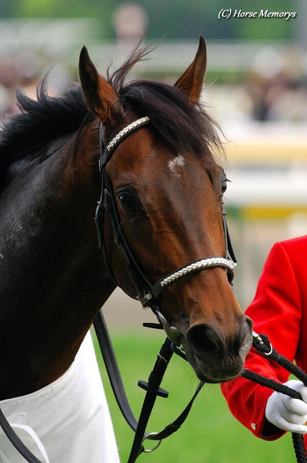 2005年・皐月賞］まずは一冠目、と言わんばかりの必然の勝利。ディープ