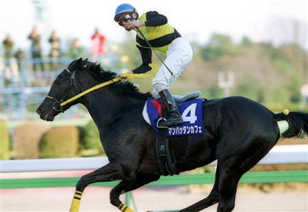 マンハッタンカフェ急死 17歳 腹腔内腫瘍で｜競馬ニュース｜競馬予想