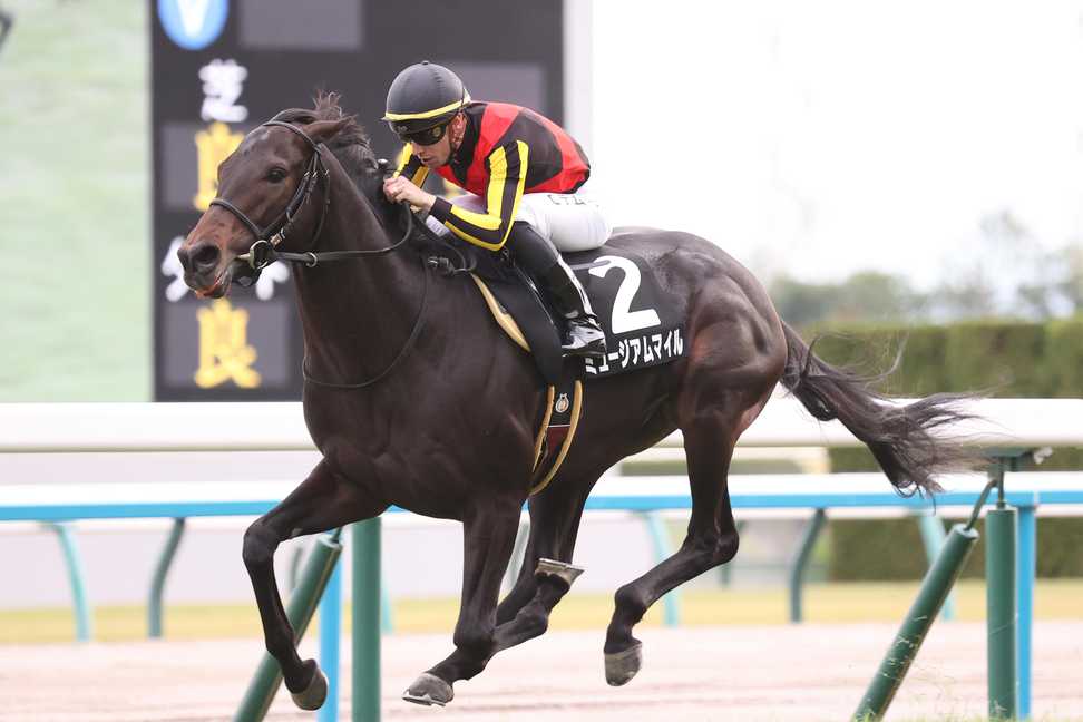 弥生賞ディープインパクト記念 枠順確定】ミュージアムマイルは7枠11番