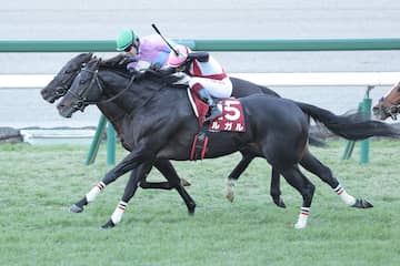 スプリンターズS 枠順確定】春秋GI制覇を狙うサトノレーヴは4枠7番