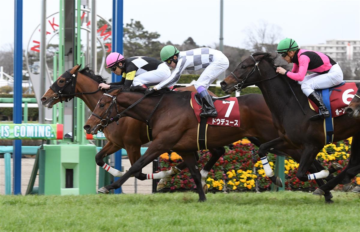 弥生賞ディープインパクト記念】中山3戦3勝！ディープ産駒アスク