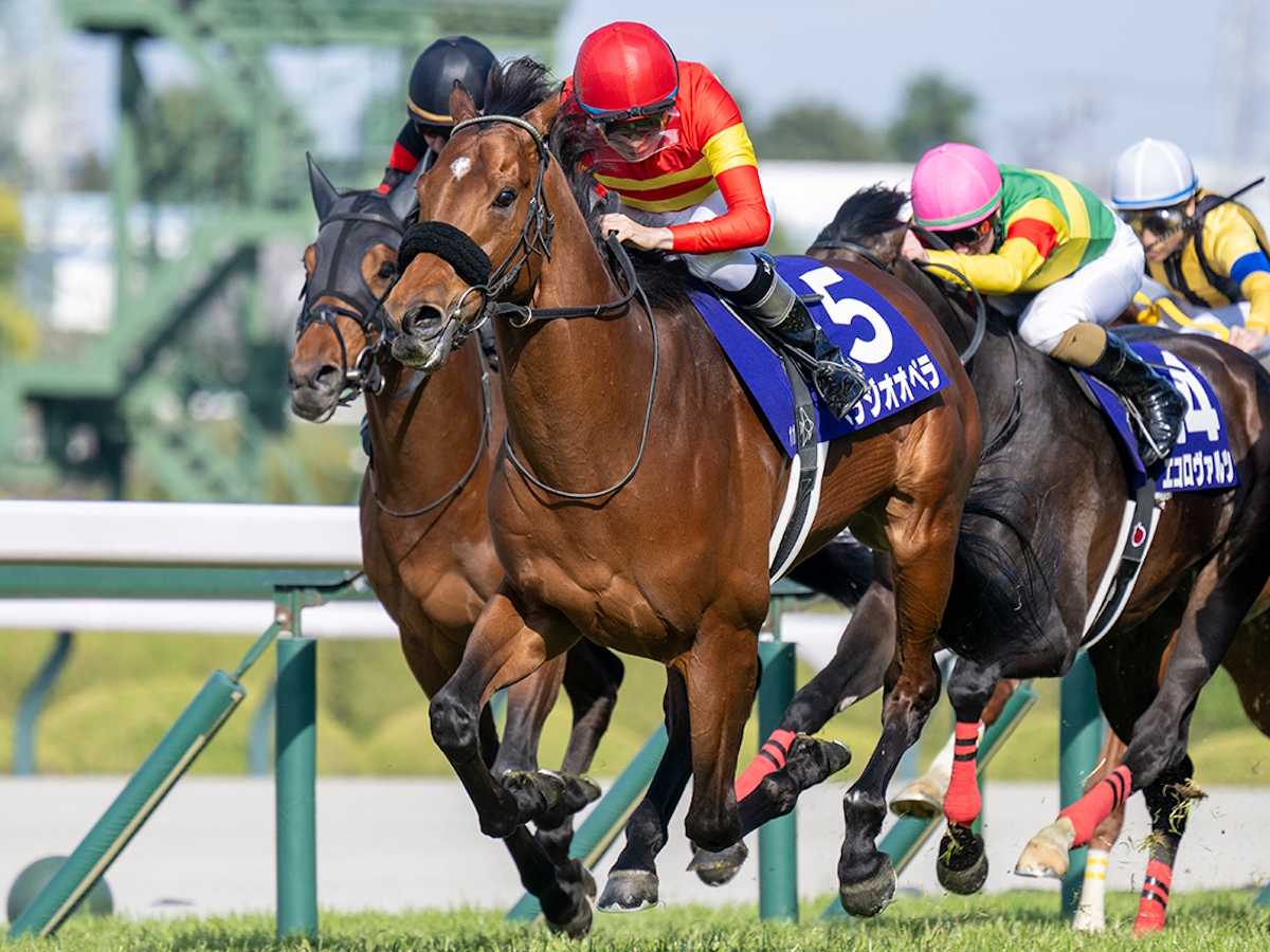 大阪杯2026特集｜競馬予想のウマニティ