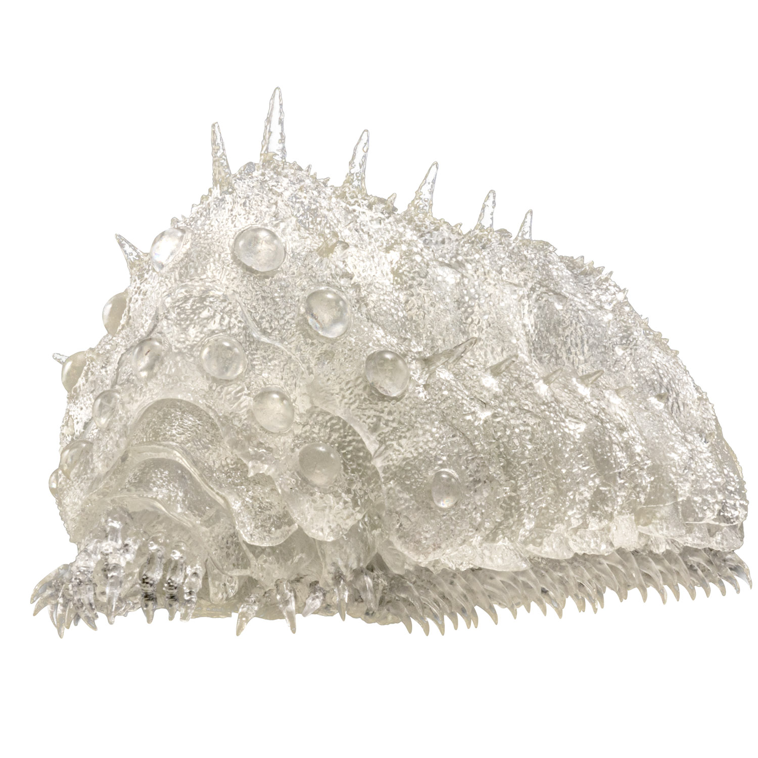 タケヤ式自在置物 風の谷のナウシカ 王蟲[小] クリアver.|千値練