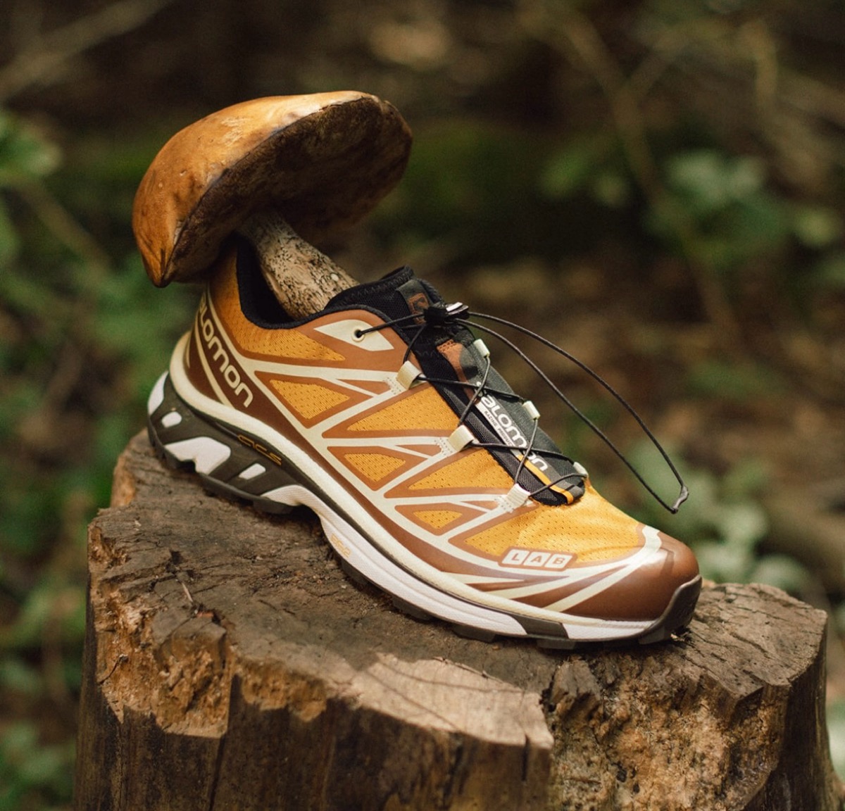 Salomon × END. XT-6 “Porcini”が10月20日に発売予定 ［l47424300