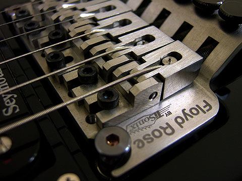 Titanium Floyd – VintageFloydRose.com