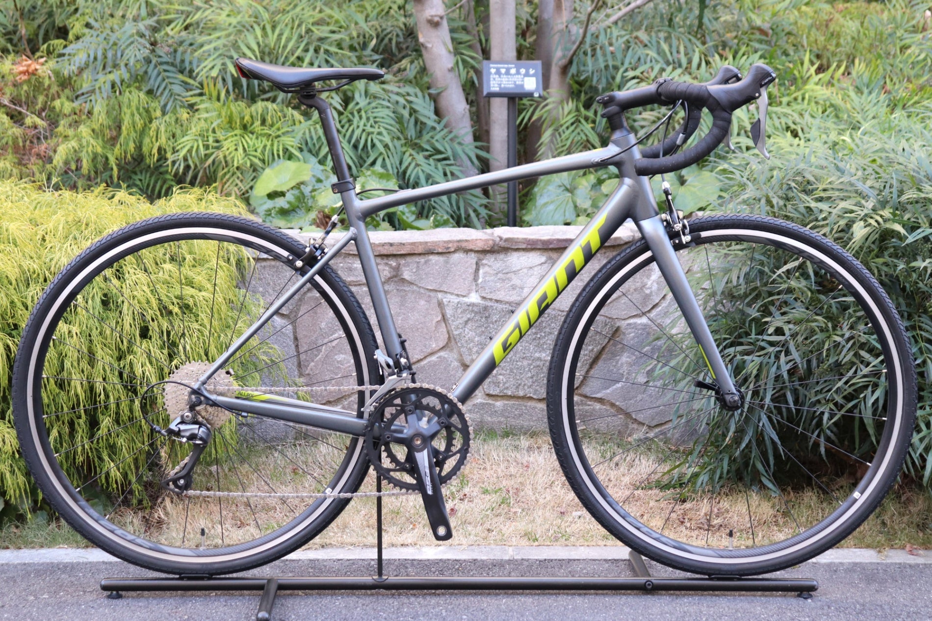 ジャイアント GIANT コンテンド CONTEND 2 2021 Mサイズ シマノ