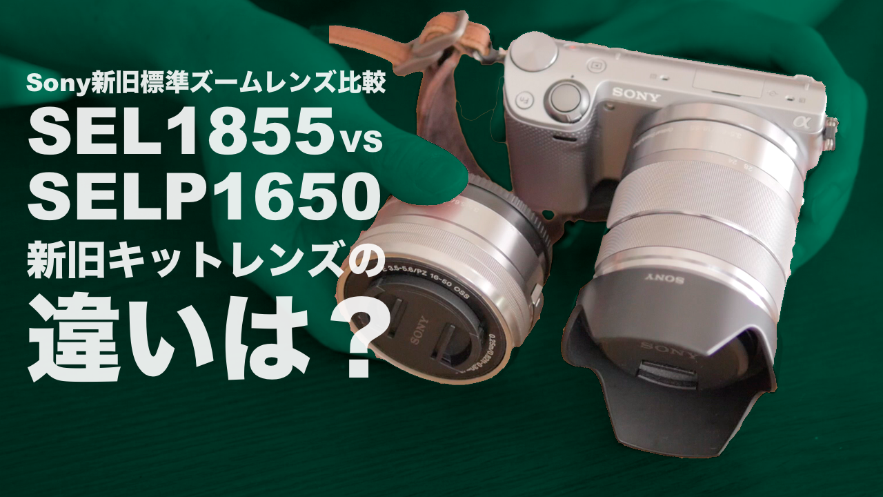 Sony標準ズームレンズSELP1650とSEL1855を比較！その特徴と利用シーン