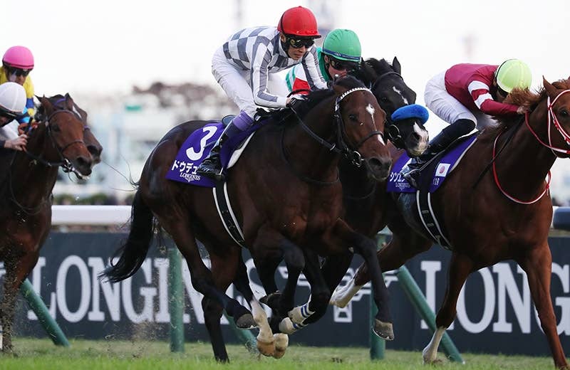 ドウデュース（Do Deuce） | 競馬データベース | JRA-VAN World - 海外