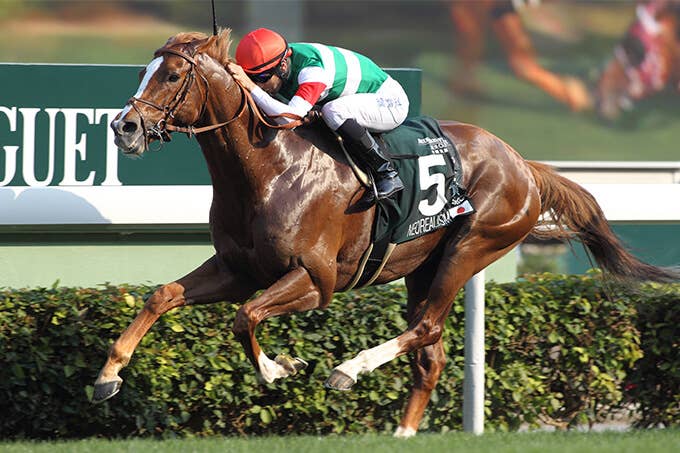 日本馬の歴史 | 2019クイーンエリザベス2世カップ | JRA-VAN ver.World