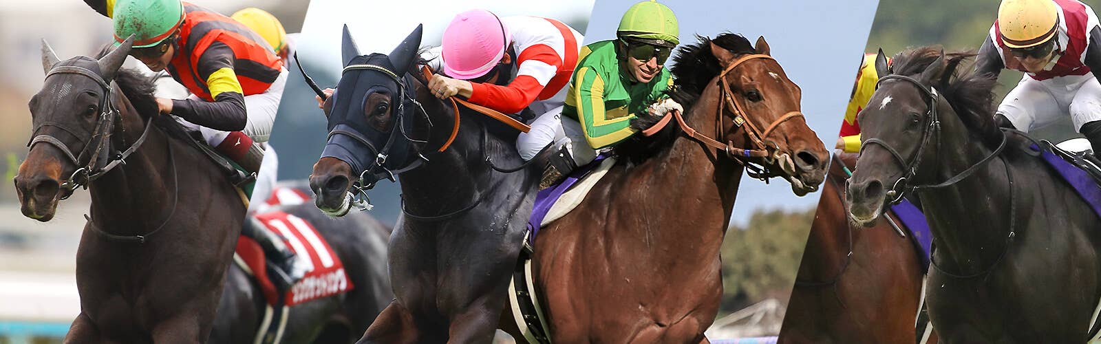 オッズ | 2025チェアマンズスプリントプライズ | JRA-VAN World - 海外