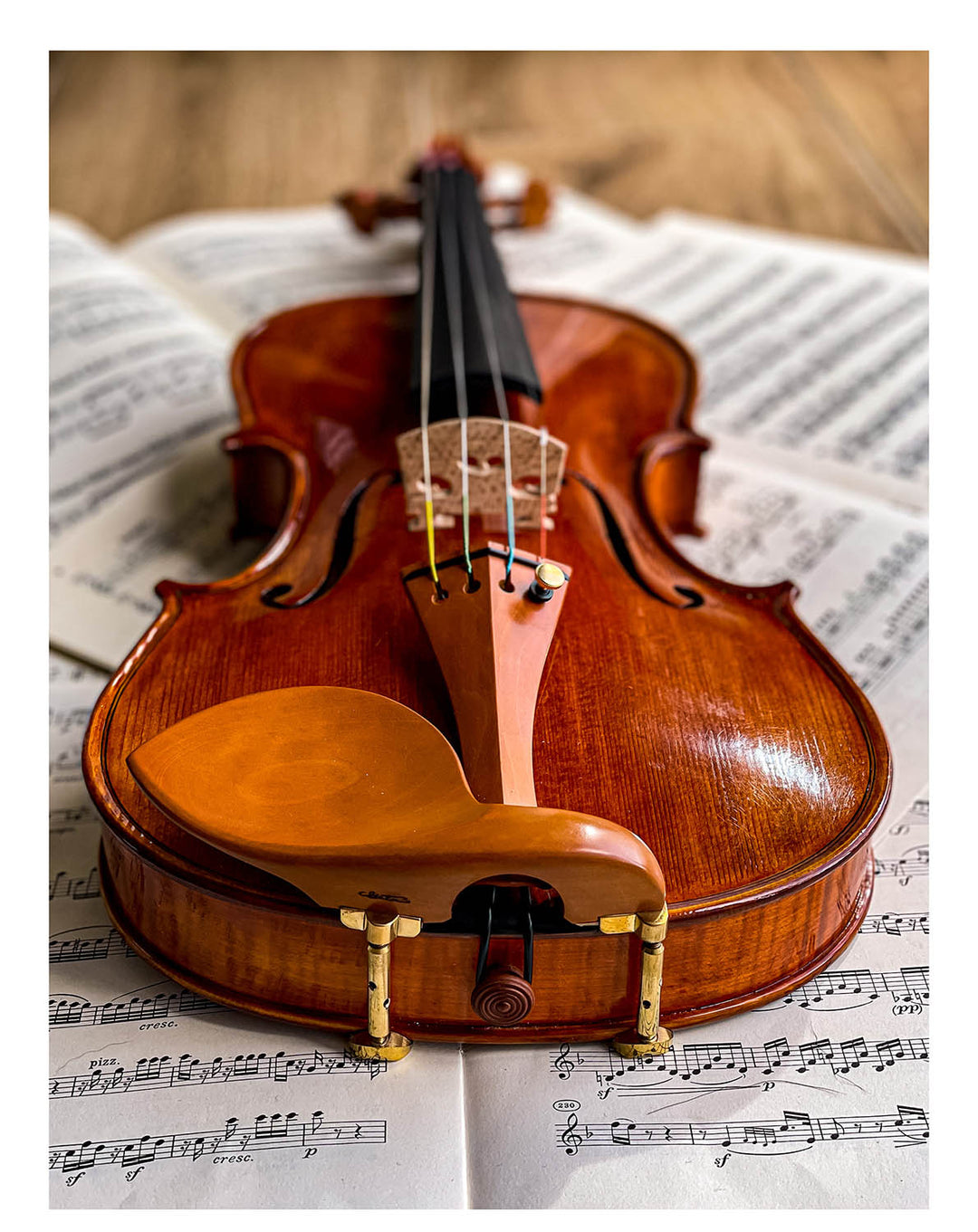 Stradivari Chinrest Violin 4/4 in Boxwood, ZK-1594G – The Conrad