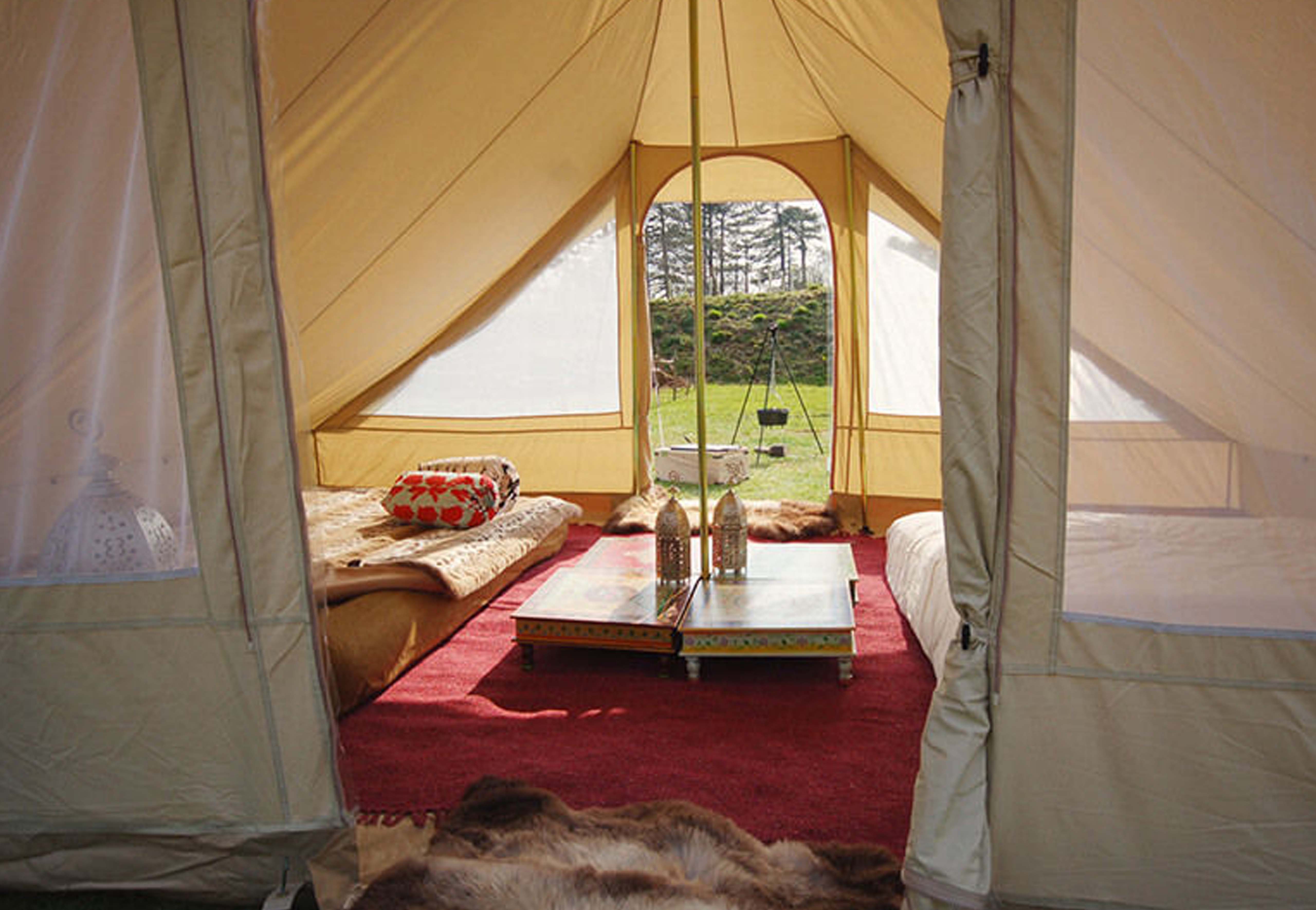 ROMDL_20_283_29.jpg?quality=80