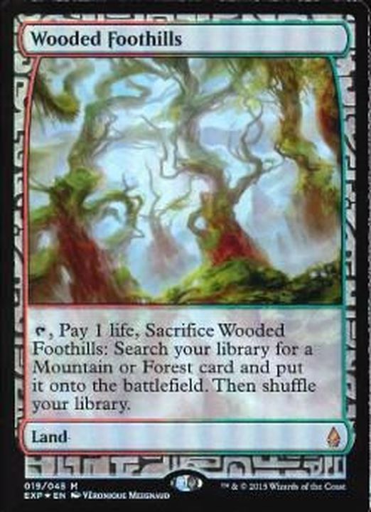 EX](FOIL)樹木茂る山麓/Wooded Foothills《英語》【EXP】