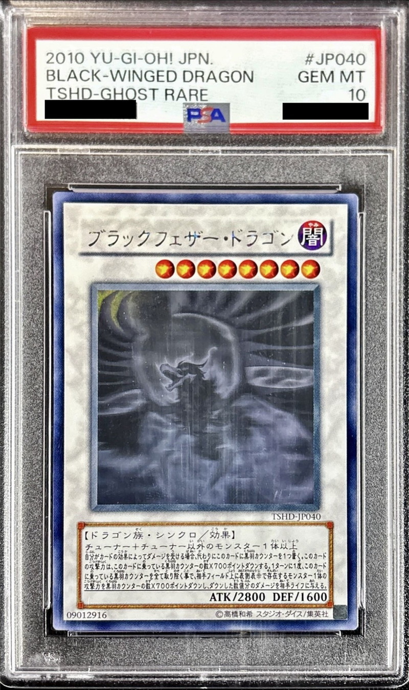 PSA10鑑定済〕ブラックフェザードラゴン【ホログラフィック】{TSHD